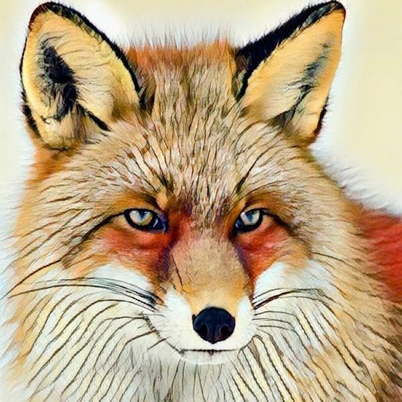 villagefox